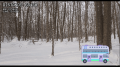 Thumbnail for version as of 20:23, 19 April 2025