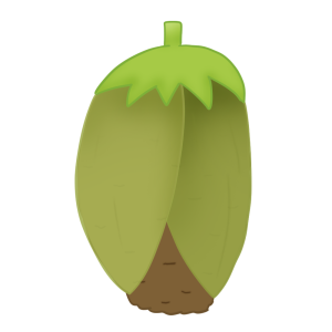Karkar Berry.png