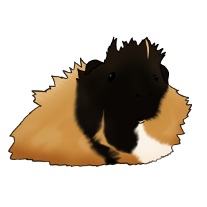Motia.png
